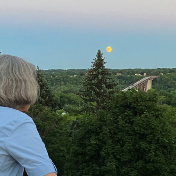 Moon & High Bridge fr Eagle Park